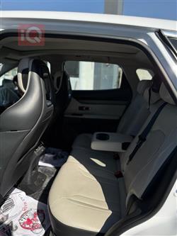 جيتور داشينج